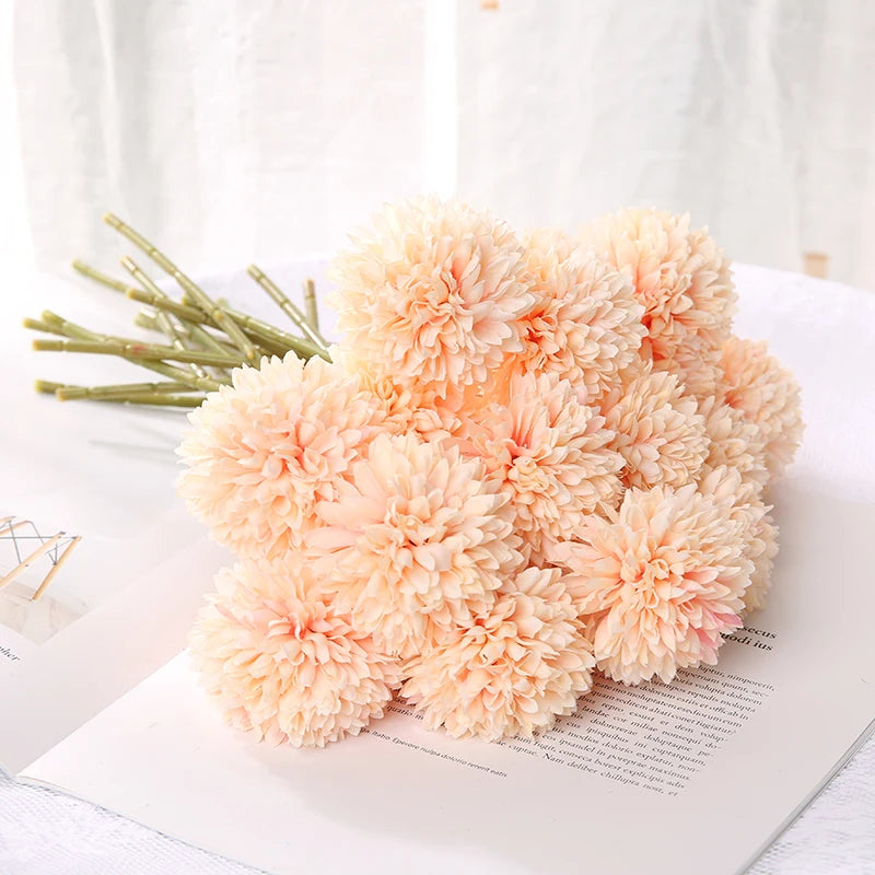 Pomera Chrysanthemum Bloom Cluster
