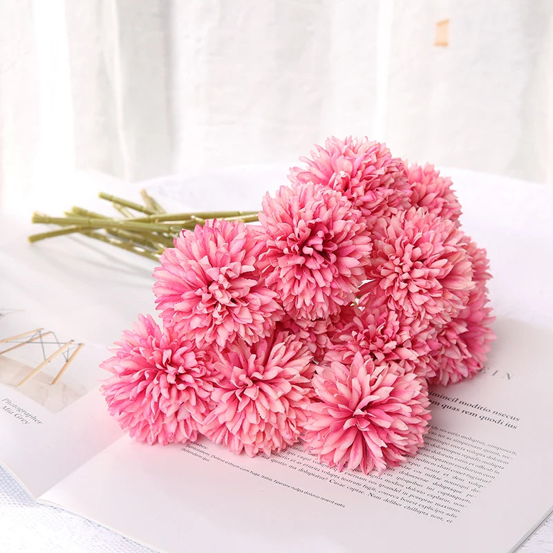 Pomera Chrysanthemum Bloom Cluster