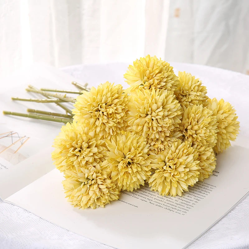Pomera Chrysanthemum Bloom Cluster