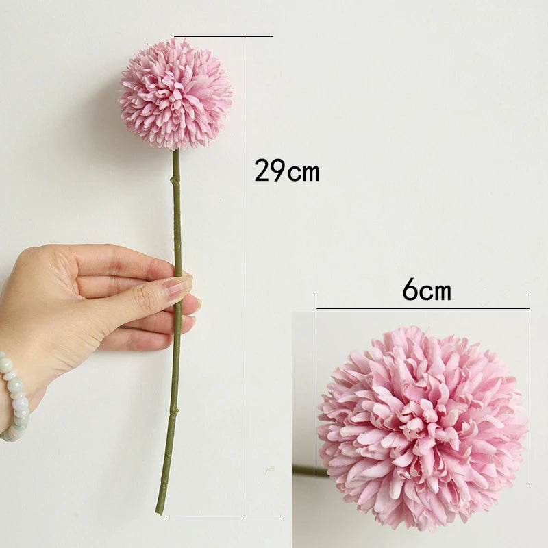 Pomera Chrysanthemum Bloom Cluster