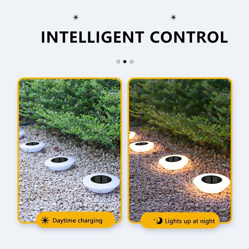 Solar Pebble Halo Disks