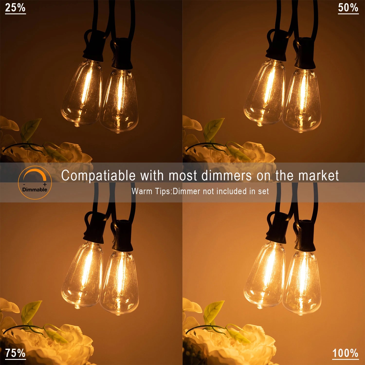 String Beacon Outdoor Lights