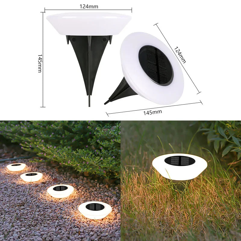 Solar Pebble Halo Disks